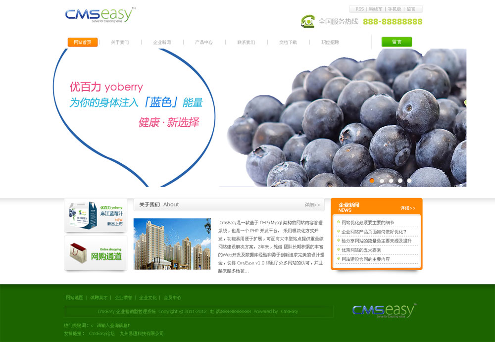 漂亮的蓝莓水果公司网站模板