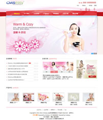 漂亮的女性企业网站模板,公司网站模板