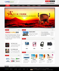 精美大气的集团企业网站模板,公司网站模板