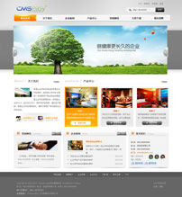 橙色集团企业网站模板,公司网站模板